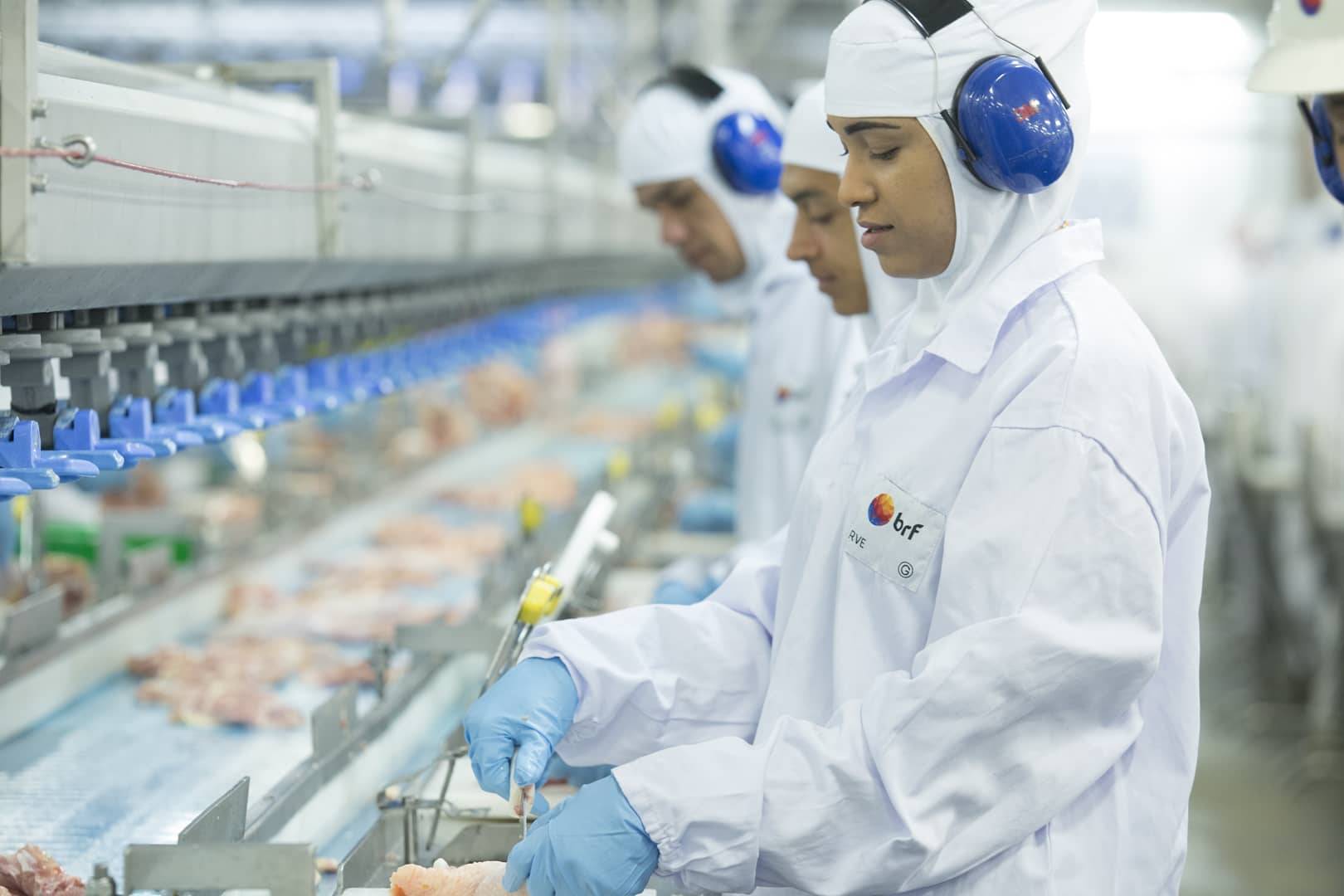 Exportações de frango recorde